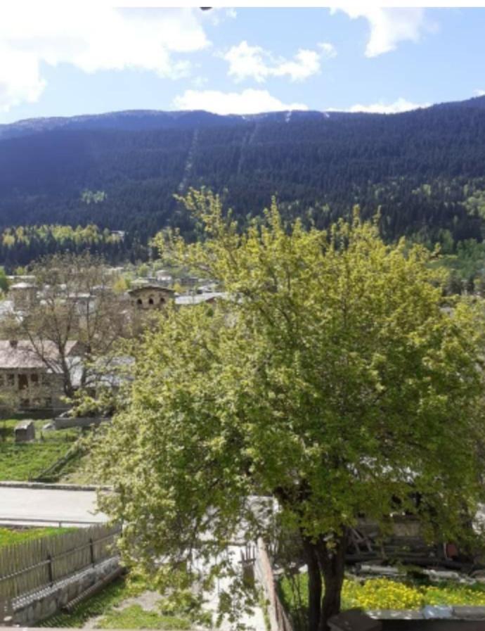 Hotel White Mountains • Თეთრი Მთები Mestia Bagian luar foto